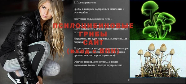 прущие грибы Ростов