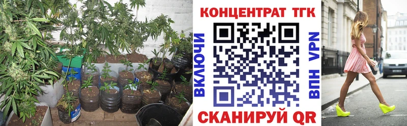 Купить  Усть-Катав  ТГК концентрат 